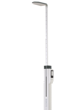 BSM 370 alt